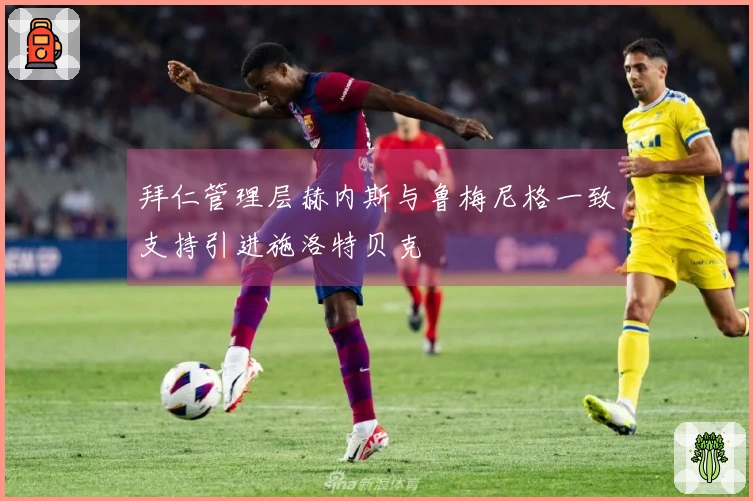 拜仁管理层赫内斯与鲁梅尼格一致支持引进施洛特贝克