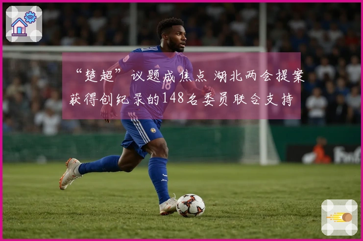 “楚超”议题成焦点 湖北两会提案获得创纪录的148名委员联合支持